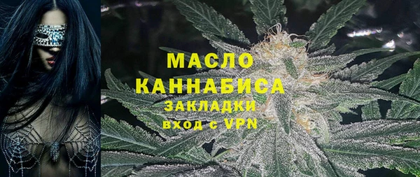 хмурый Магас