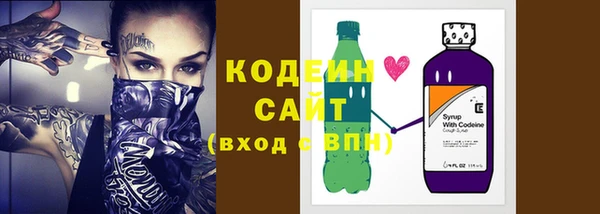 хмурый Магас