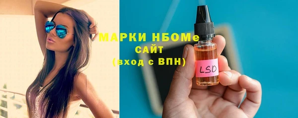 хмурый Магас