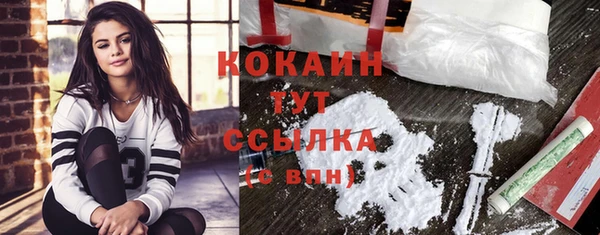 хмурый Магас