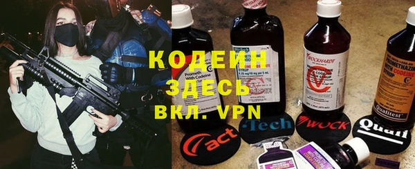 хмурый Магас