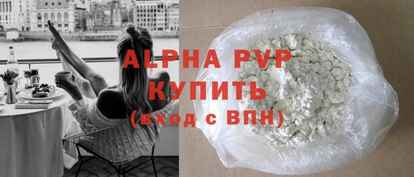 хмурый Магас