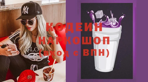 хмурый Магас